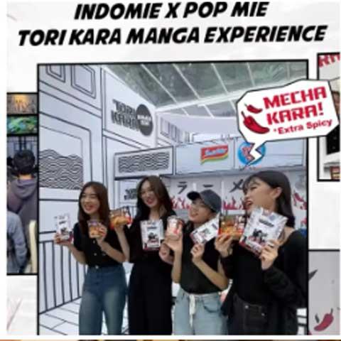 tori kara manga experience - february